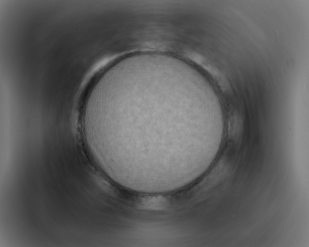 X0000087331454200705112147