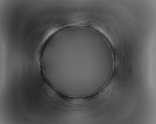X0000087331455200705112147