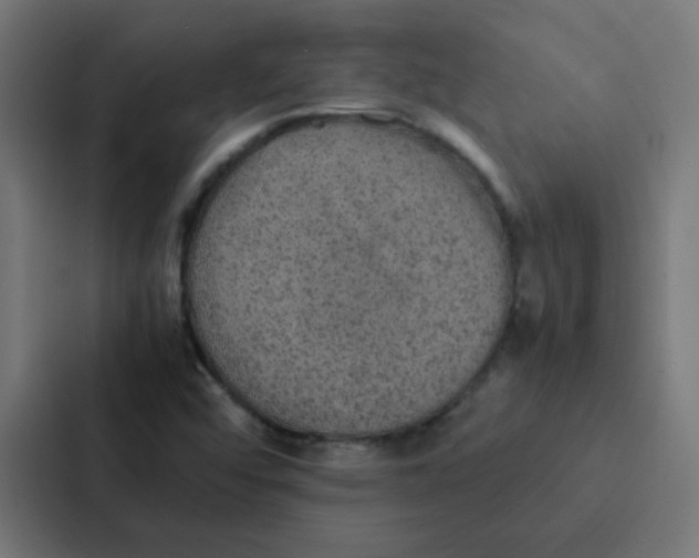 X0000087331456200705112147