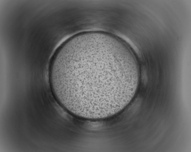 X0000087331460200705112147
