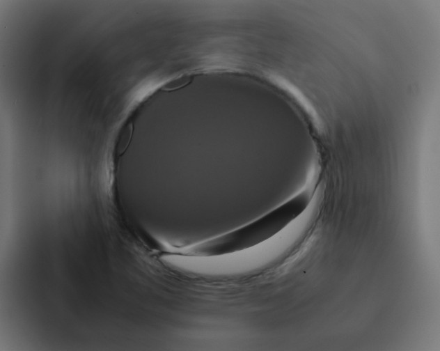 X0000087331461200705112147