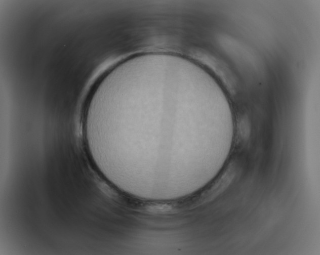 X0000087331462200705112147