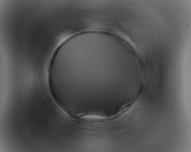X0000087331463200705112147