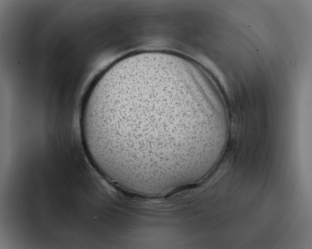 X0000087331464200705112147