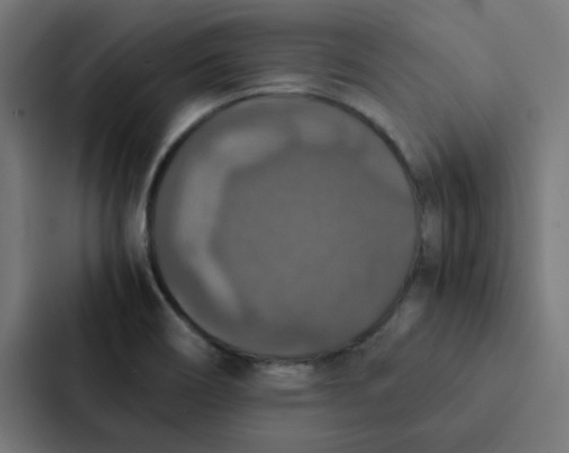X0000087331466200705112147