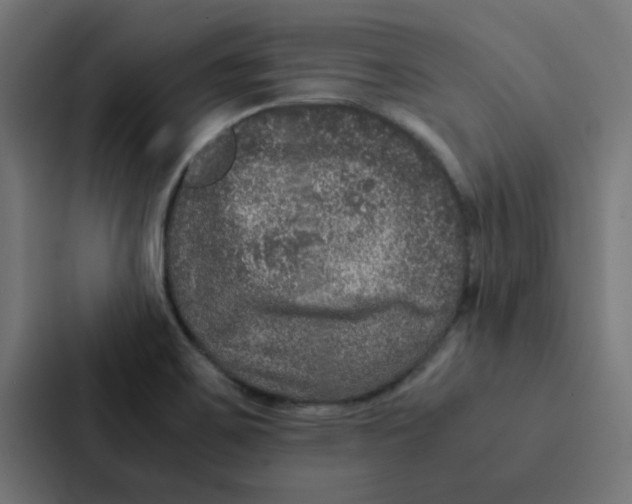 X0000087331467200705112147