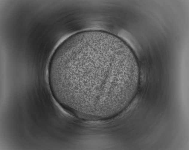 X0000087331468200705112147