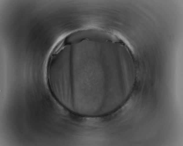 X0000087331469200705112147