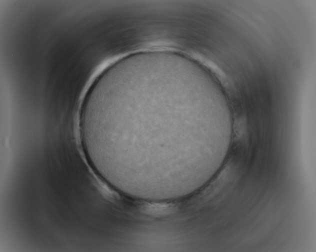 X0000087331470200705112147