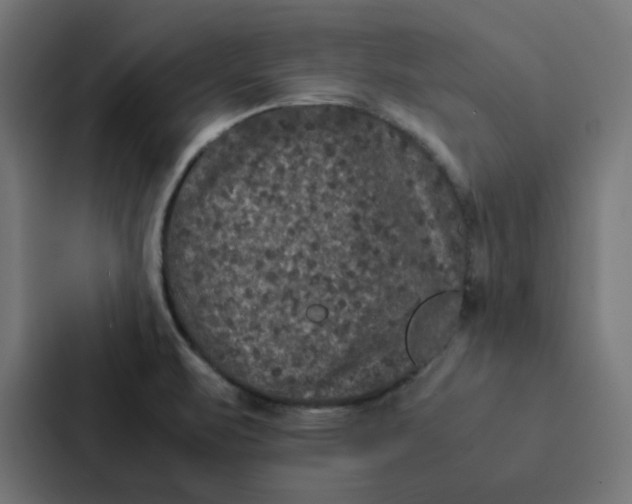 X0000087331471200705112147
