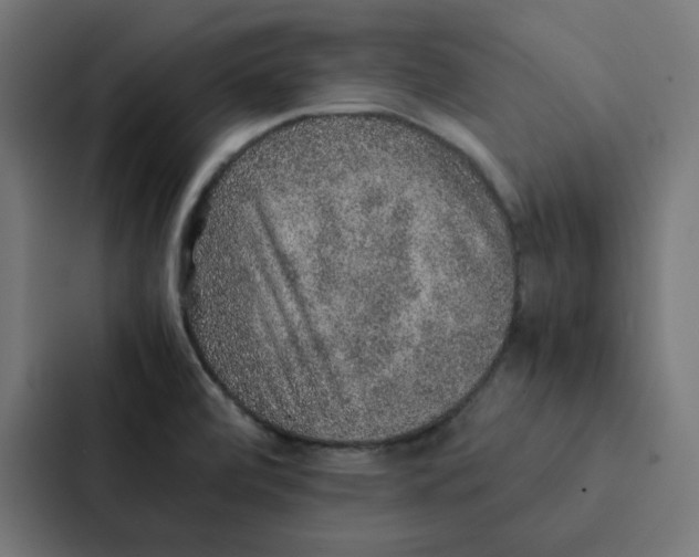 X0000087331472200705112147