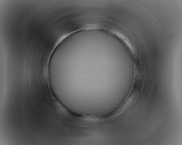 X0000087331473200705112147