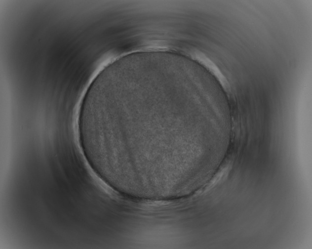 X0000087331475200705112147