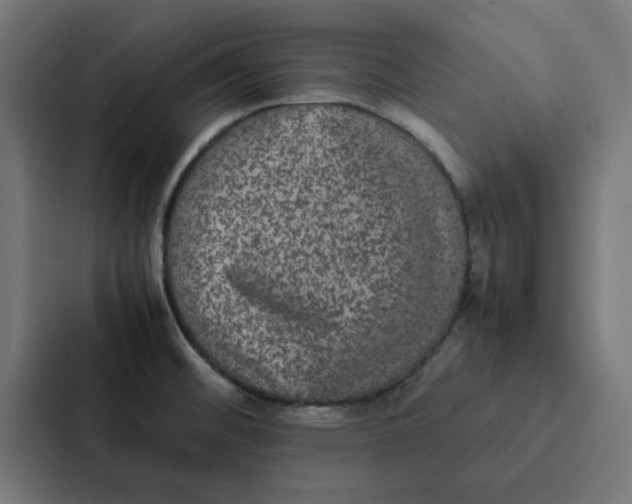 X0000087331476200705112147