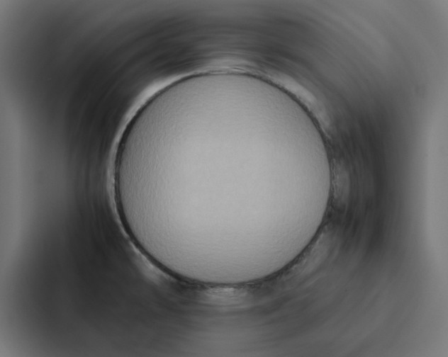 X0000087331478200705112147