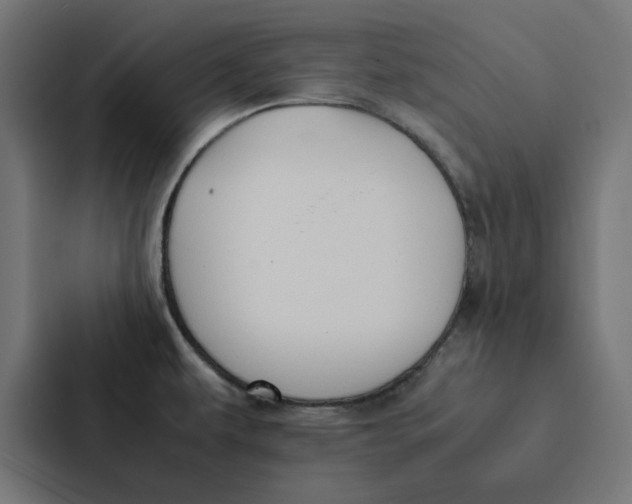 X0000087331479200705112147