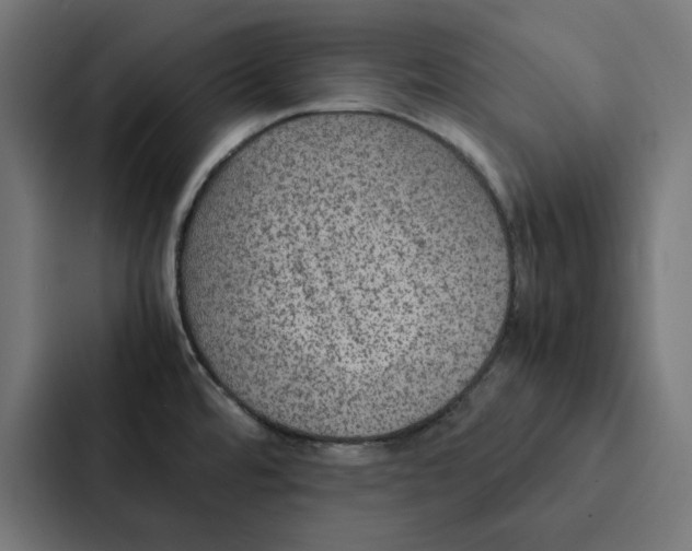 X0000087331480200705112147