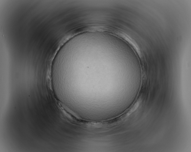X0000087331481200705112147