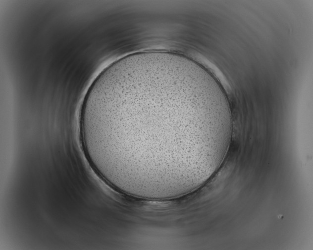 X0000087331483200705112147