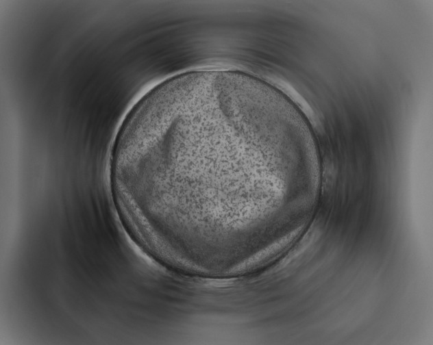 X0000087331484200705112147