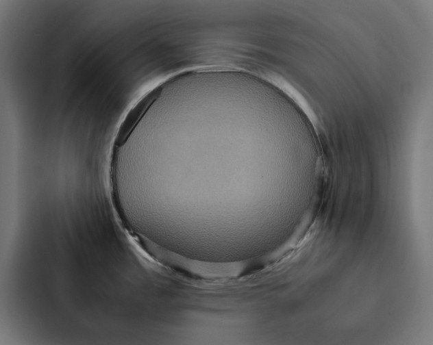 X0000087331485200705112147