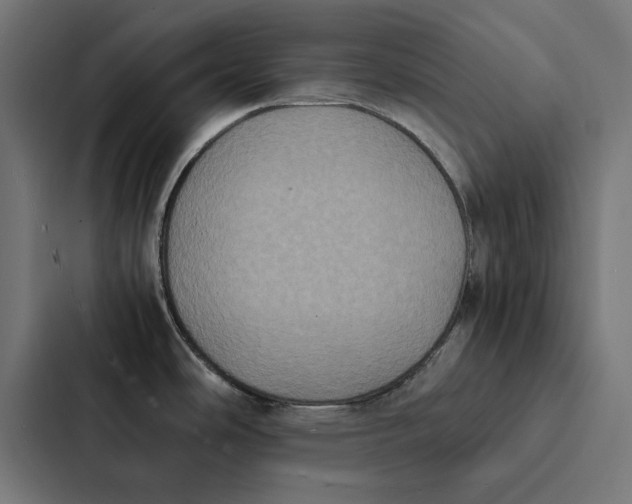 X0000087331486200705112147