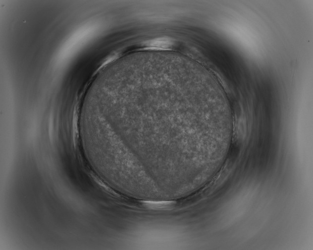 X0000087331487200705112147