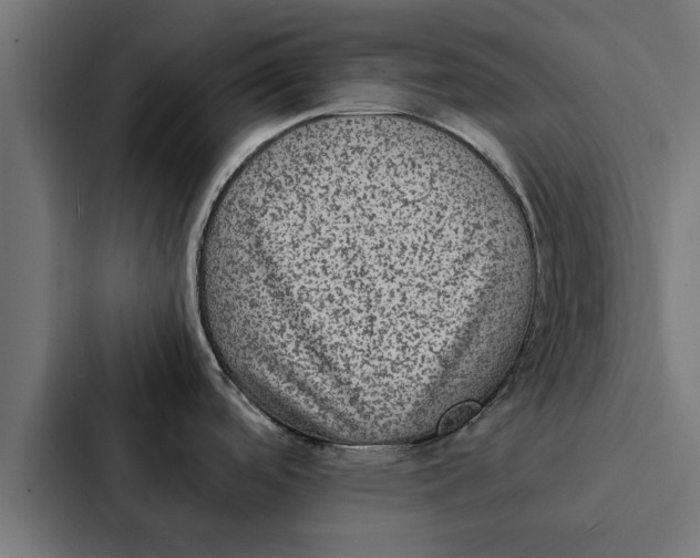 X0000087331488200705112147