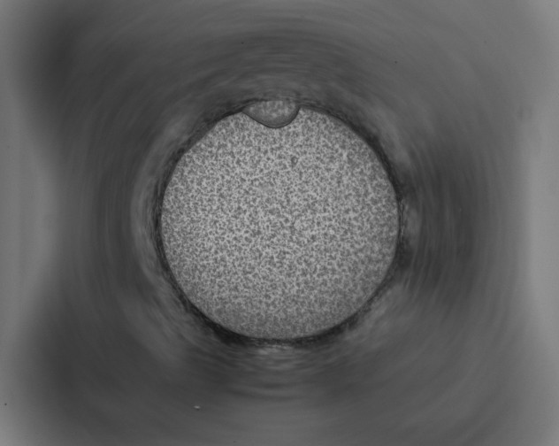 X0000087331489200705112146