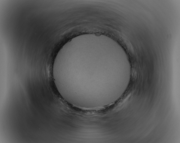 X0000087331490200705112146