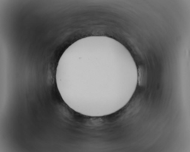 X0000087331491200705112146