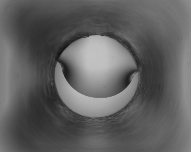 X0000087331492200705112146