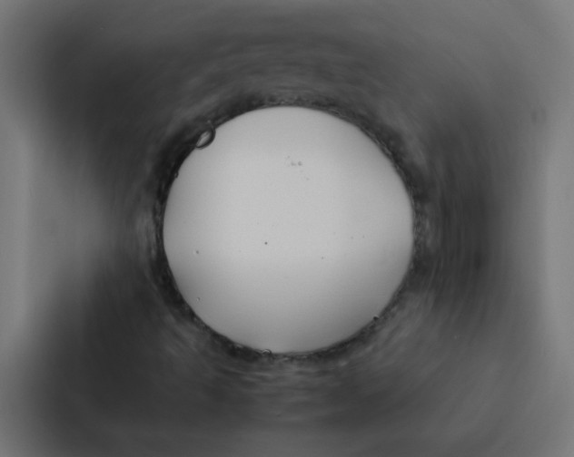 X0000087331493200705112146
