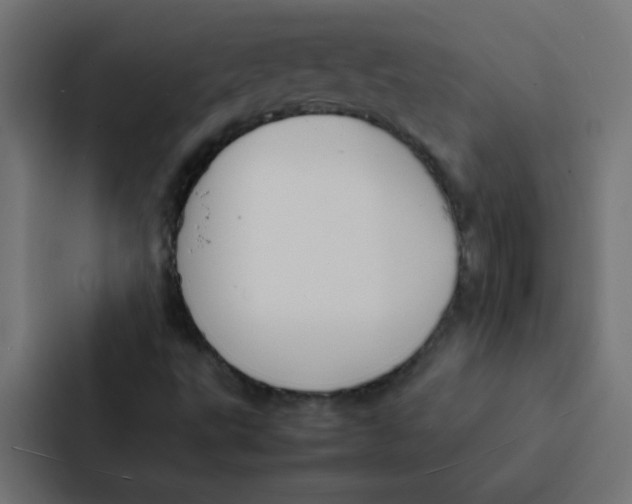 X0000087331495200705112146