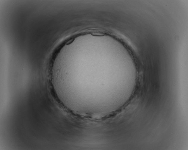 X0000087331496200705112146