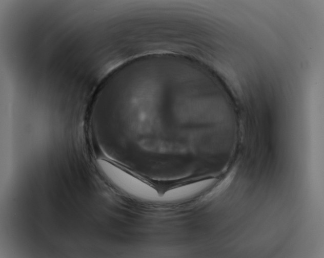 X0000087331497200705112146