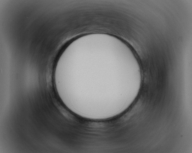 X0000087331499200705112146