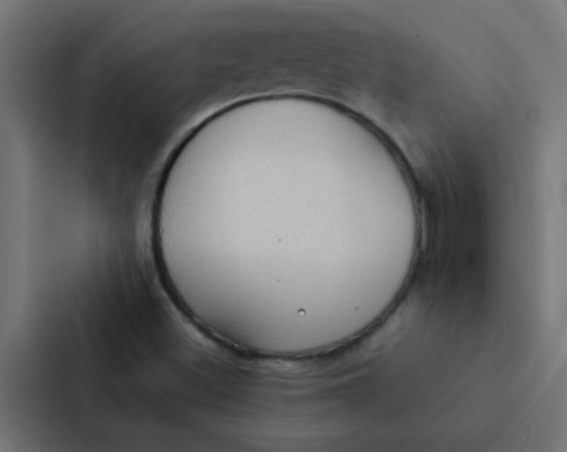 X0000087331500200705112146