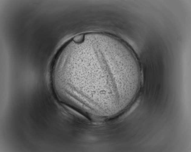 X0000087331501200705112146