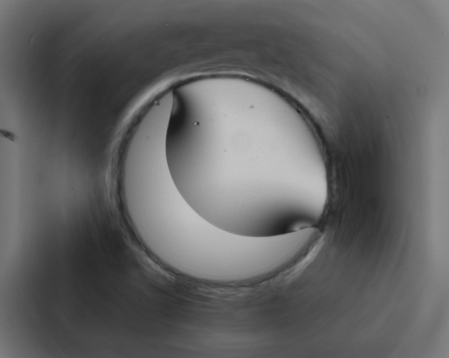 X0000087331502200705112146