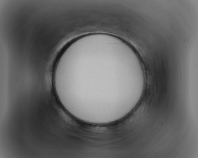 X0000087331503200705112146