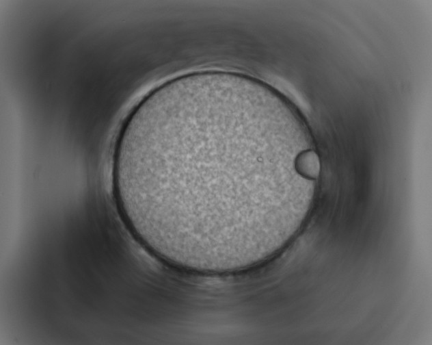 X0000087331504200705112146