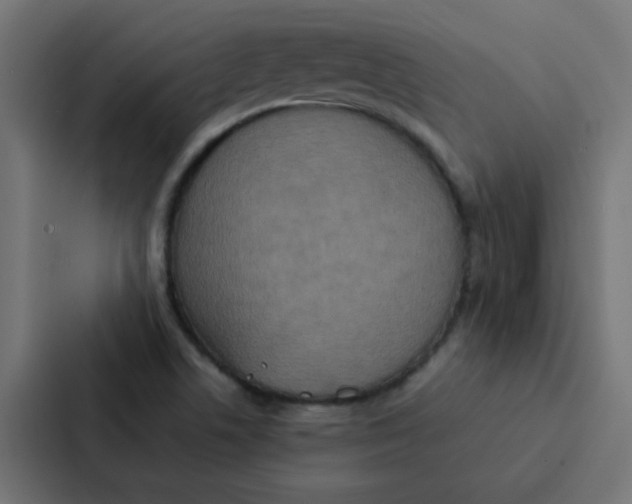 X0000087331506200705112146