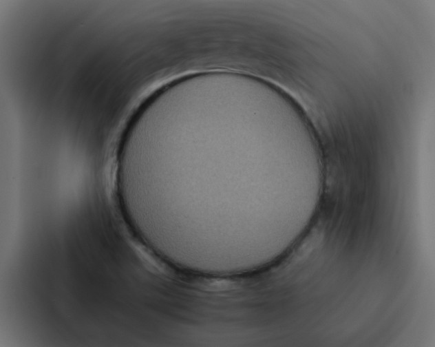 X0000087331507200705112146
