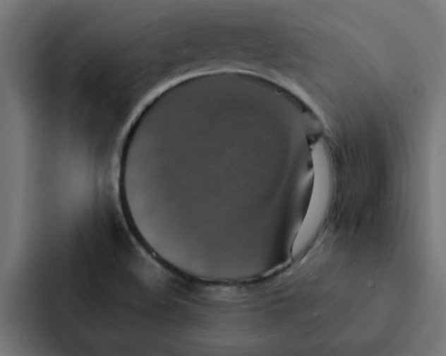 X0000087331508200705112146