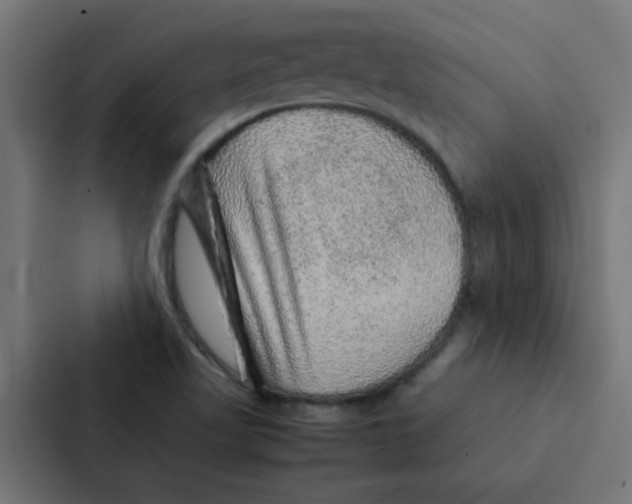 X0000087331509200705112146
