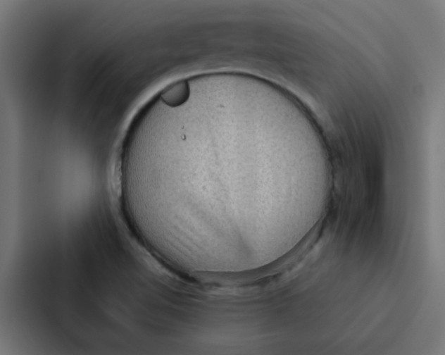 X0000087331510200705112146
