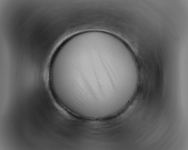 X0000087331511200705112146