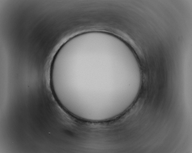 X0000087331512200705112146