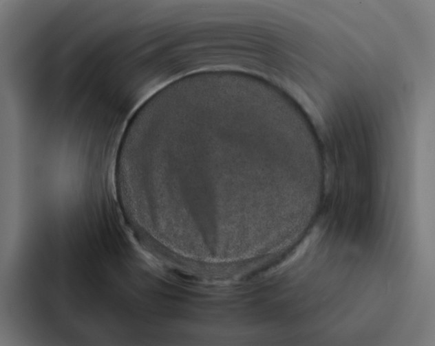 X0000087331513200705112146
